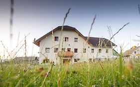 Guesthouse Macesen